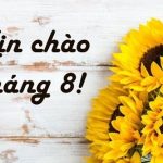 Những stt tháng 8 hay, ý nghĩa